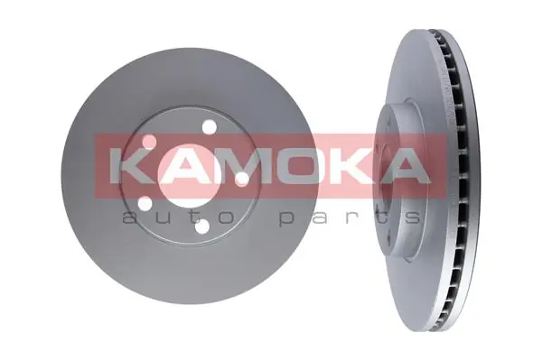 Brake Disc 1032028