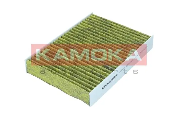 Filter, cabin air 6080122