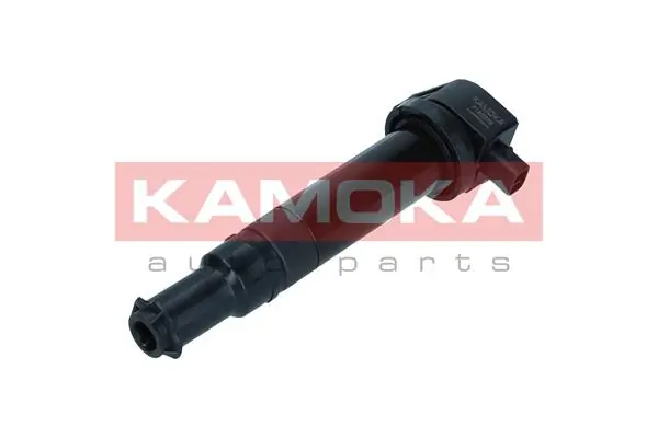 Ignition Coil 7120076