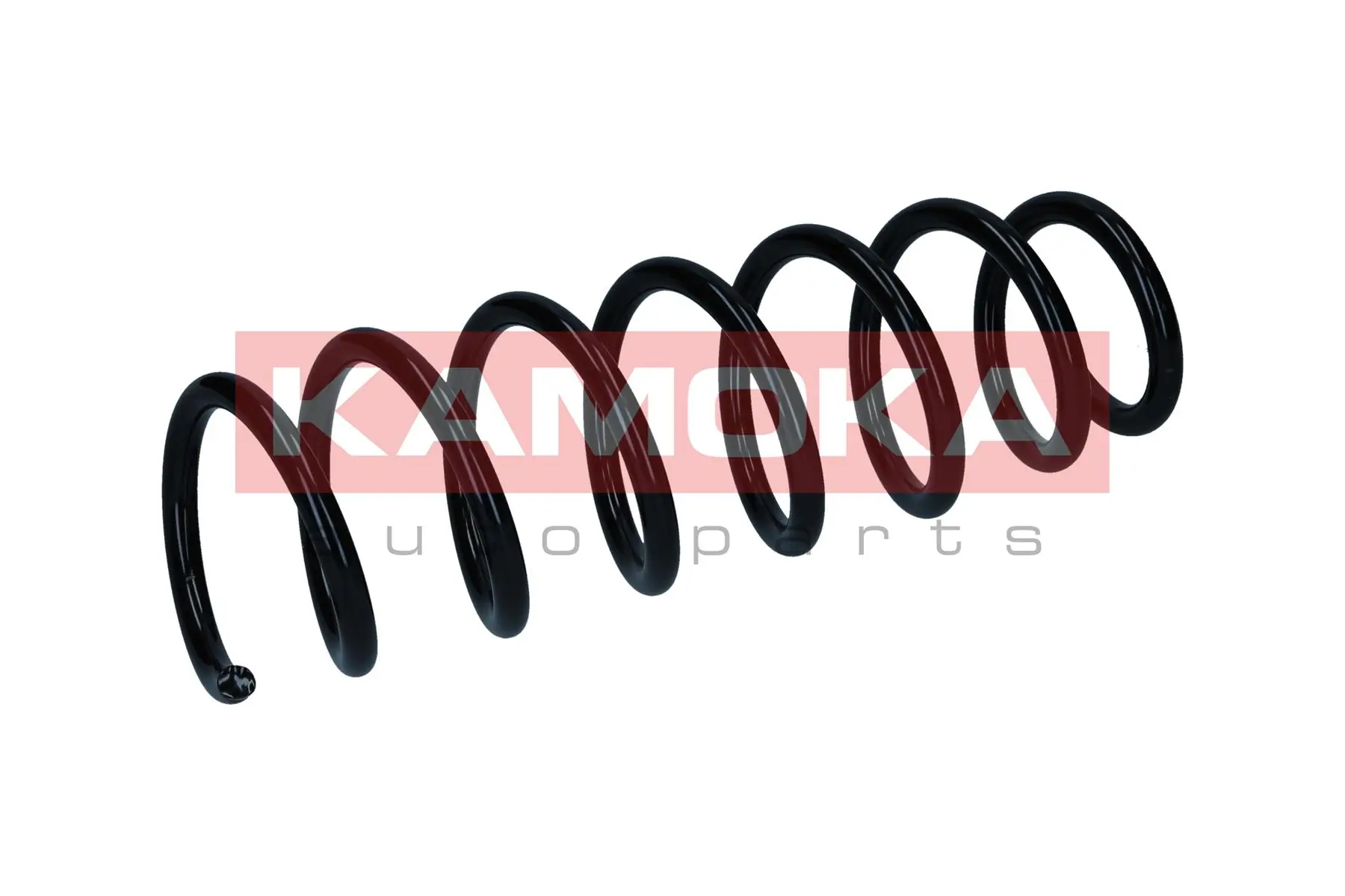 Suspension Spring 2110366