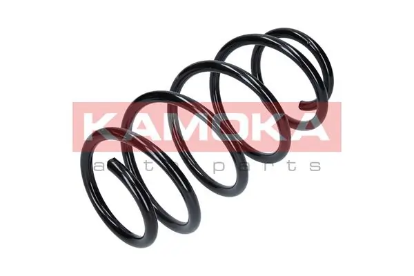 Suspension Spring 2110037