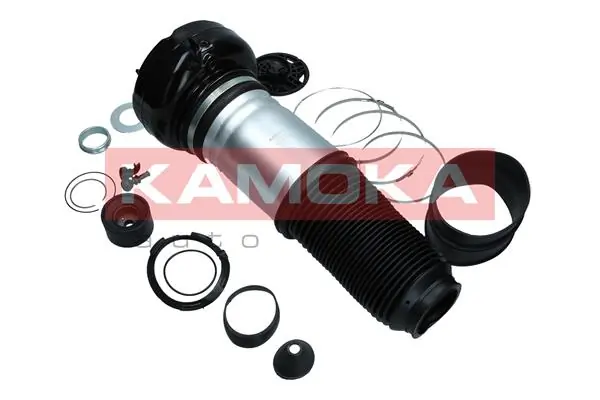 Air Spring, suspension 2079006