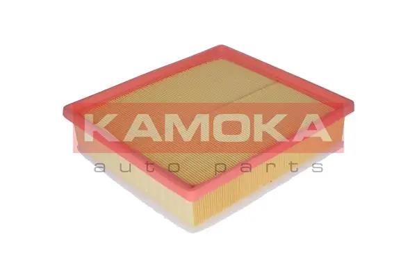 Air Filter F209701