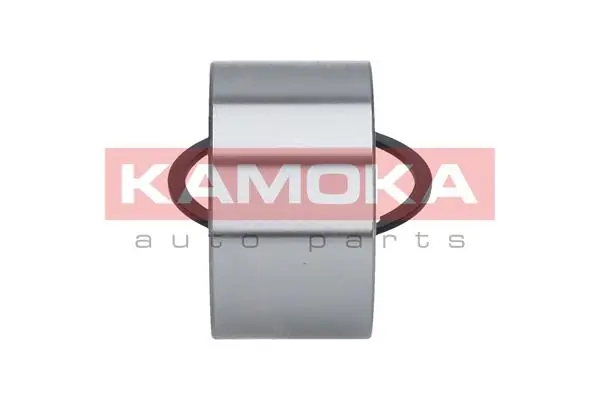 Wheel Bearing Kit 5600030