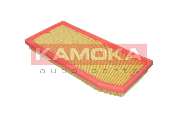 Air Filter F257301