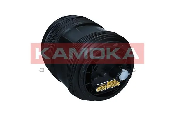 Air Spring, suspension 2079071