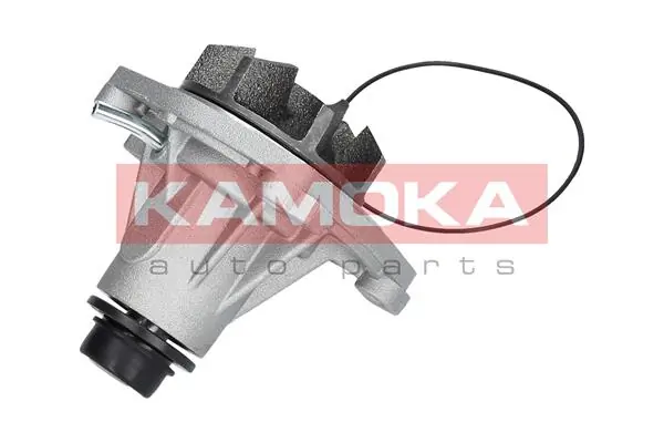 Water Pump, engine cooling T0006