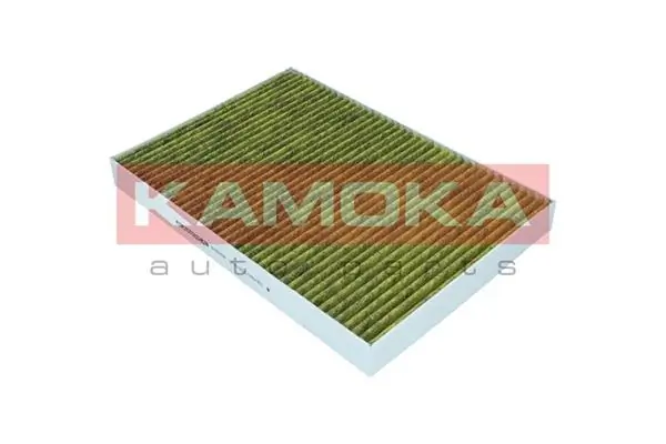 Filter, cabin air 6080056