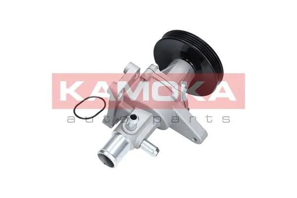 Water Pump, engine cooling T0276