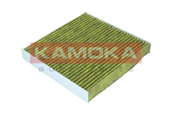 Filter, cabin air 6080128