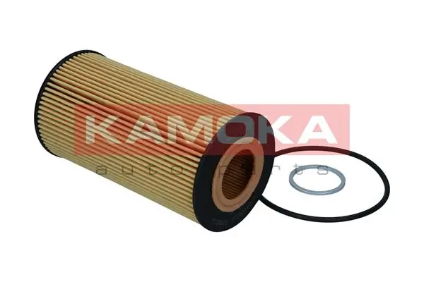 Oil Filter F125601