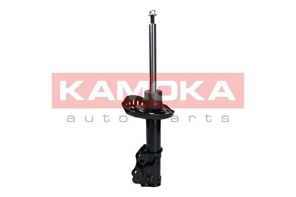 Shock Absorber 2000057