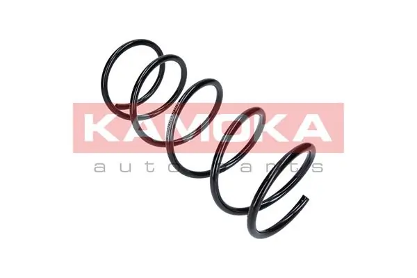 Suspension Spring 2110133