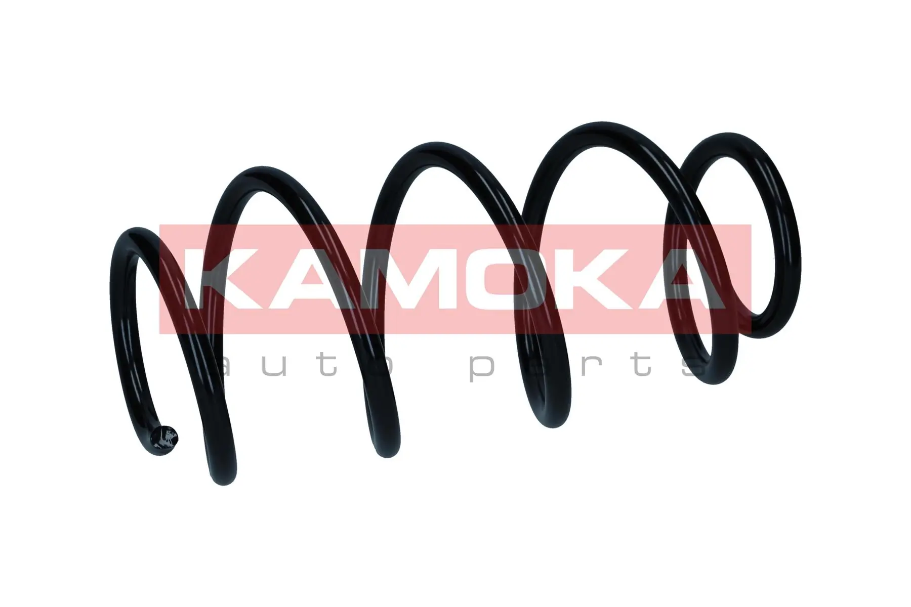 Suspension Spring 2110823