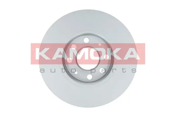 Brake Disc 1033568