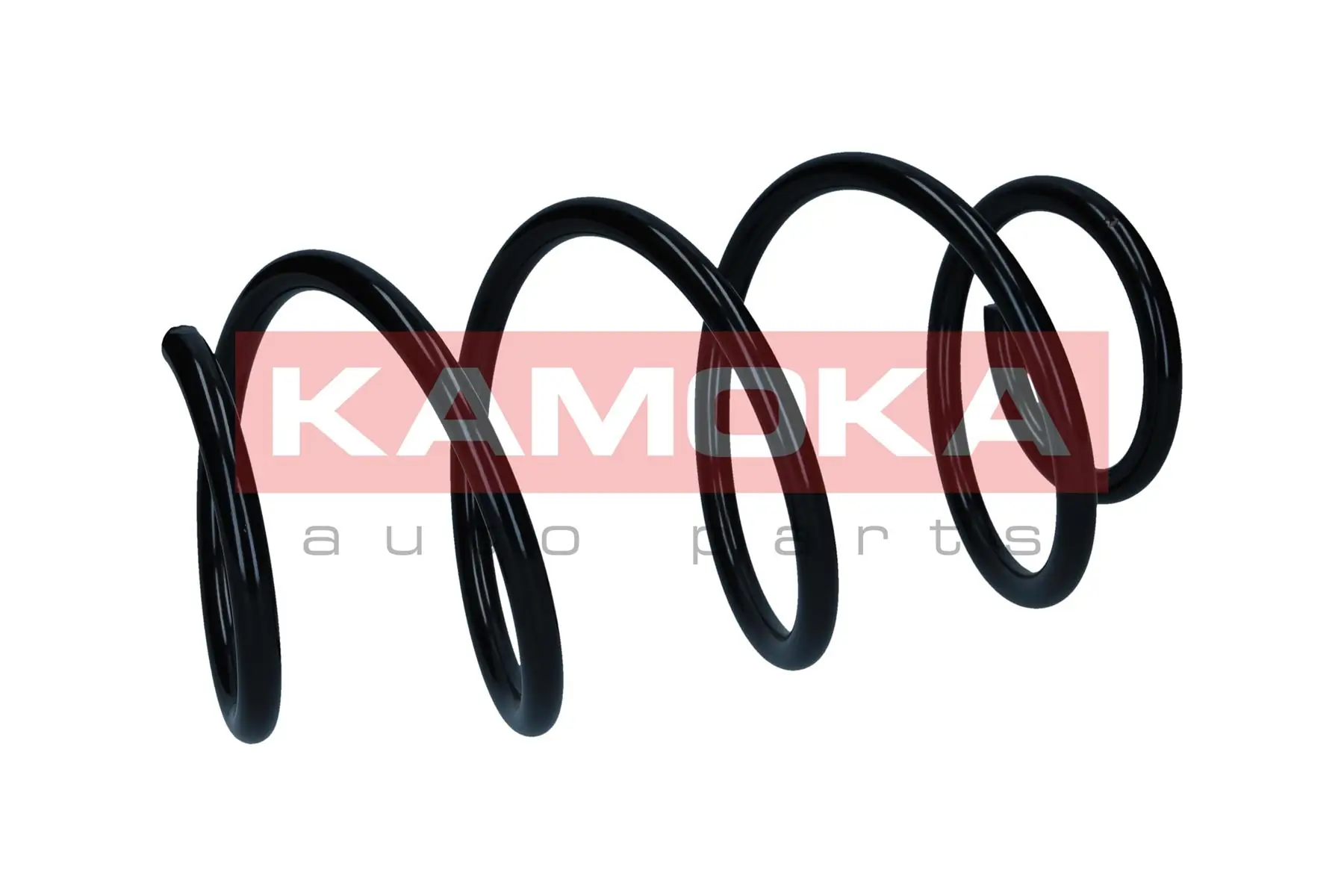 Suspension Spring 2110568