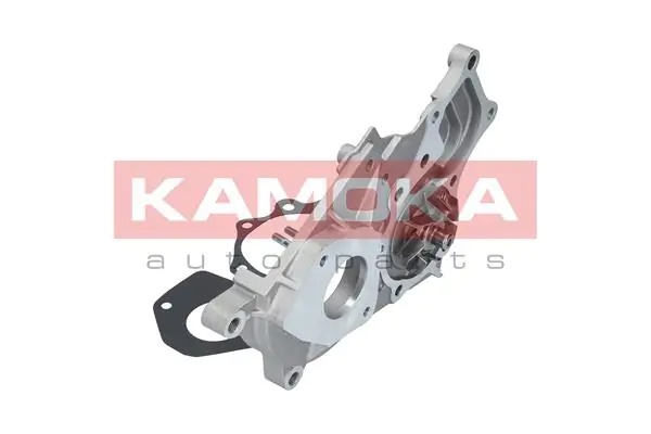 Water Pump, engine cooling T0264