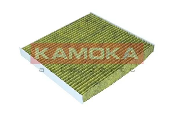 Filter, cabin air 6080124