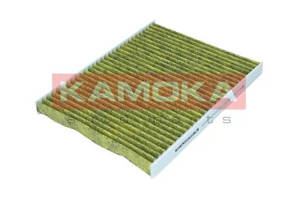 Filter, cabin air 6080136