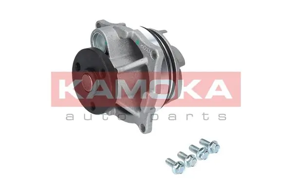 Water Pump, engine cooling T0129