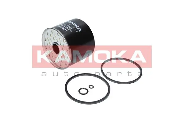 Fuel Filter F302001