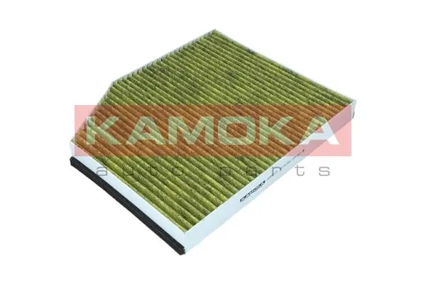 Filter, cabin air 6080078