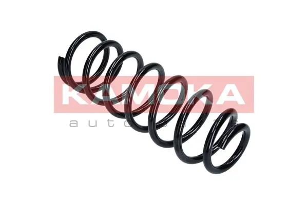 Suspension Spring 2120233