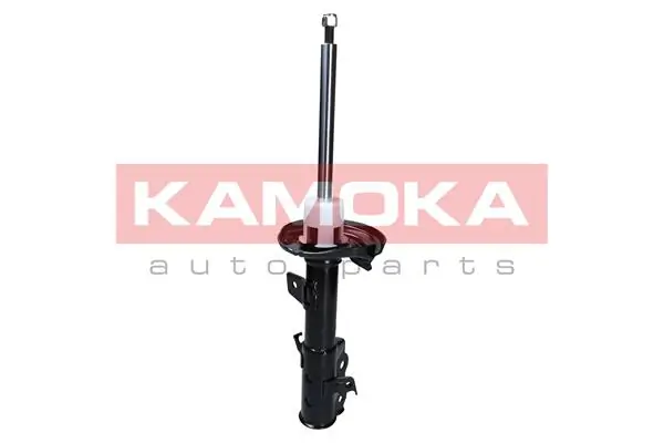 Shock Absorber 2000487