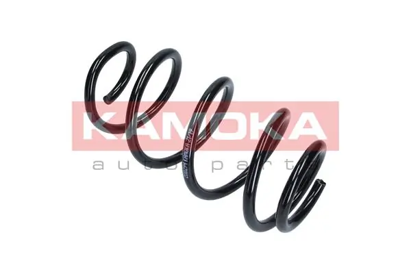 Suspension Spring 2110294