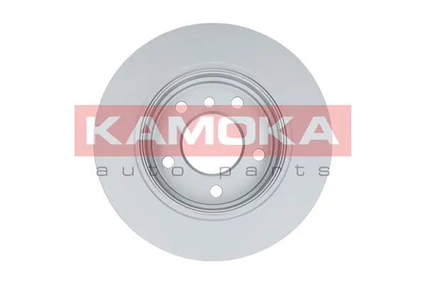 Brake Disc 1032606