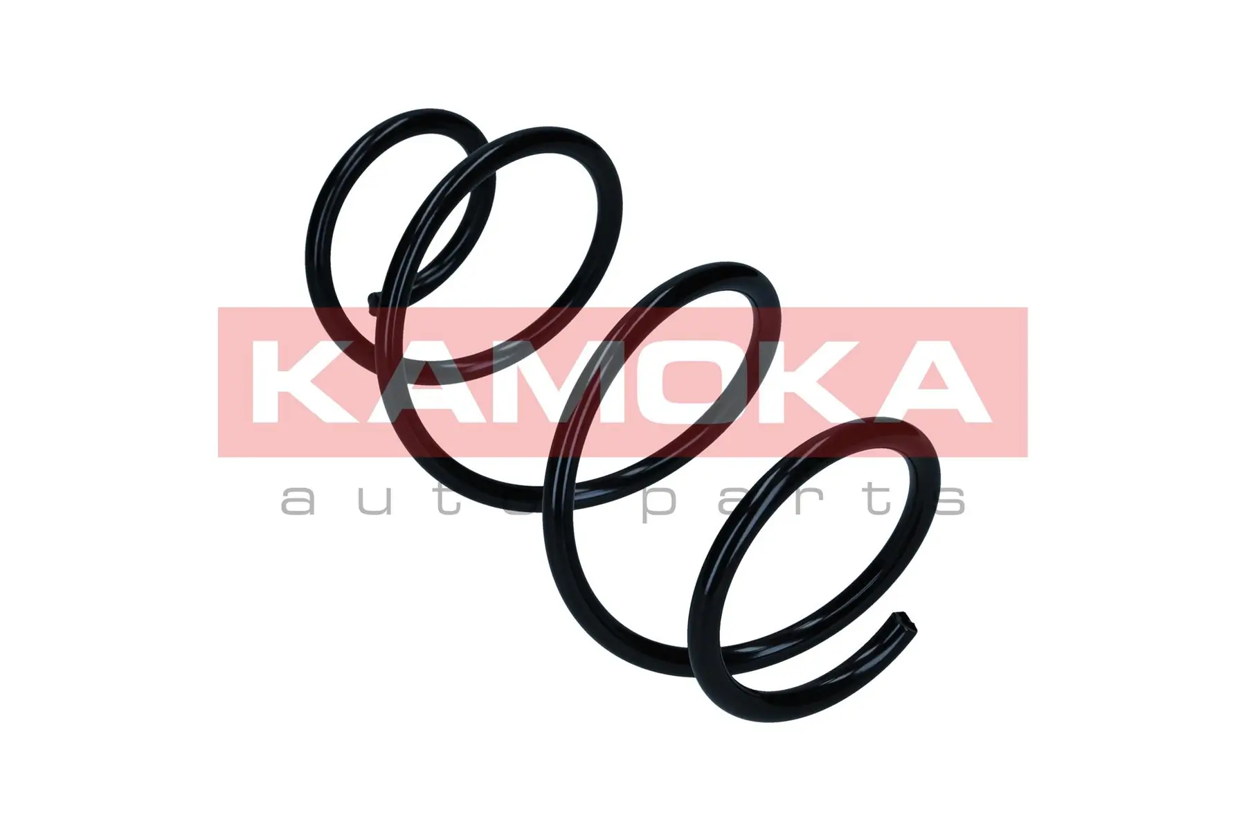 Suspension Spring 2110782