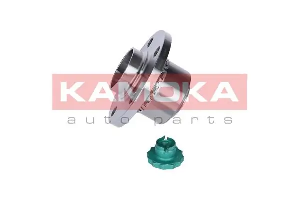 Wheel Bearing Kit 5500064