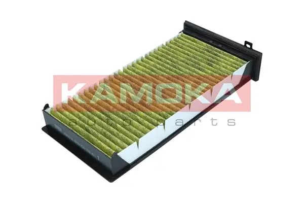 Filter, cabin air 6080018