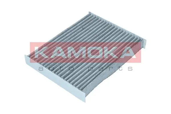 Filter, cabin air F517901