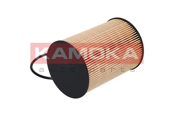 Fuel Filter F307801
