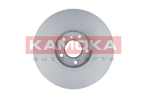 Brake Disc 103301