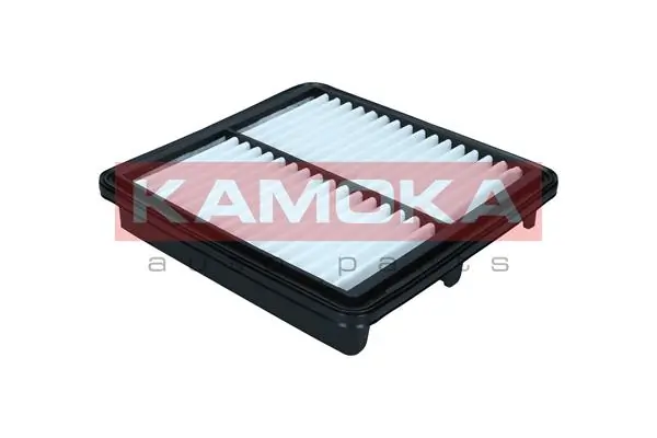 Air Filter F259701