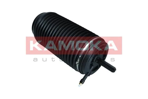 Air Spring, suspension 2079061