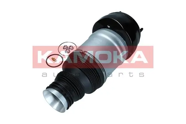 Air Spring, suspension 2079046