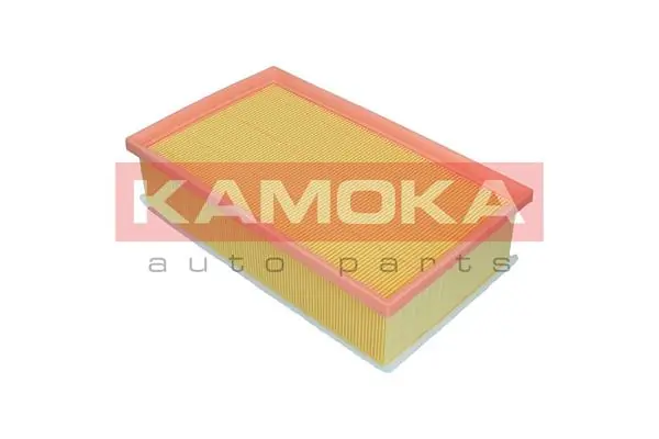 Air Filter F248501