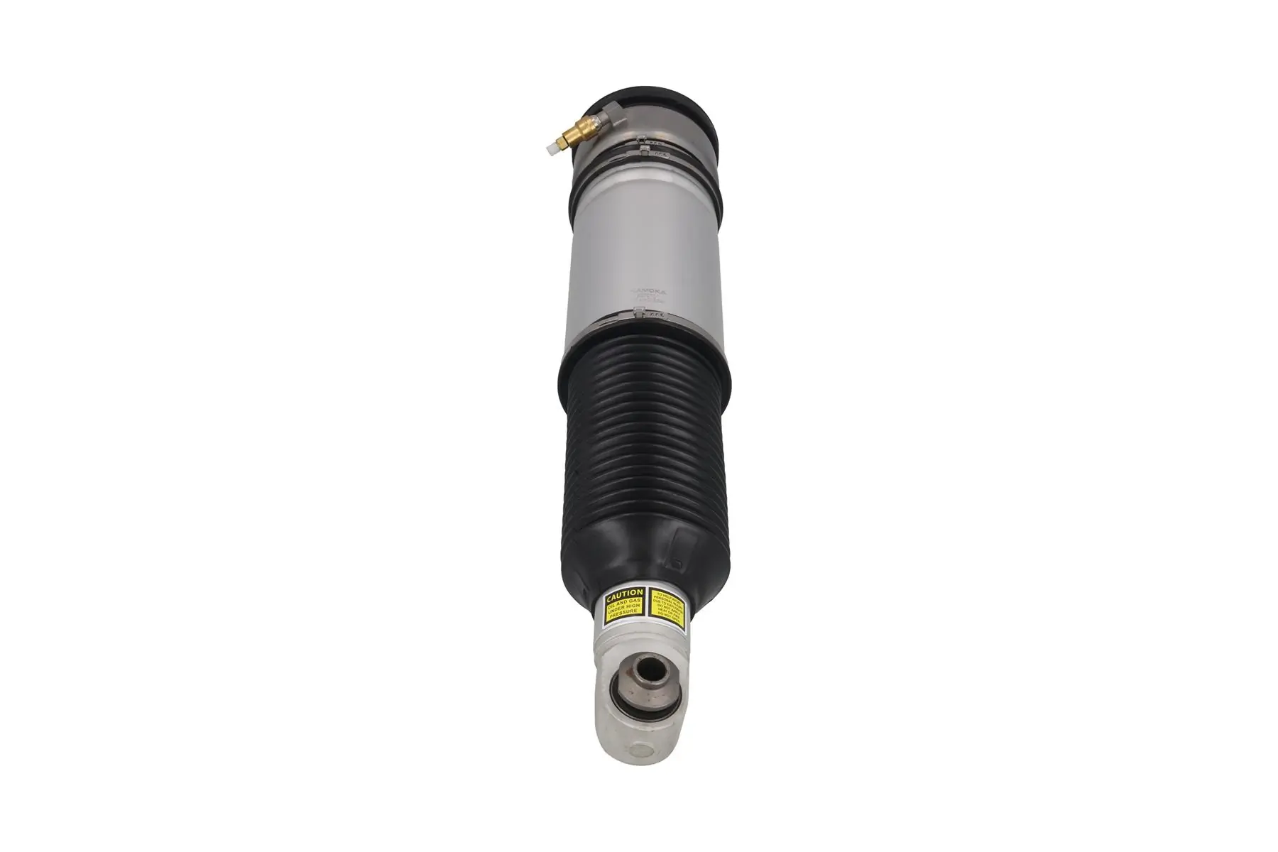 Air Suspension Strut 2070101