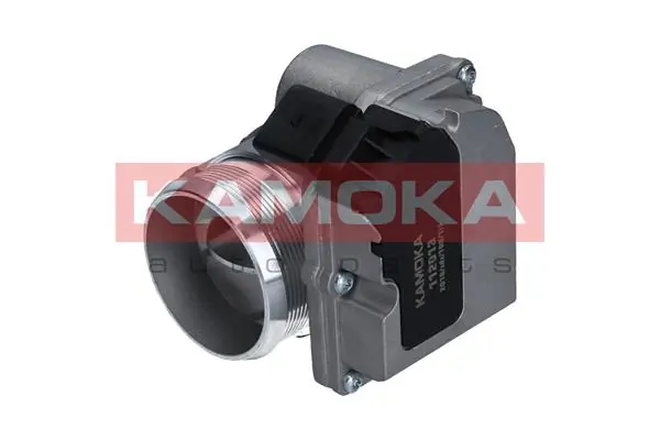 Throttle Body 112013