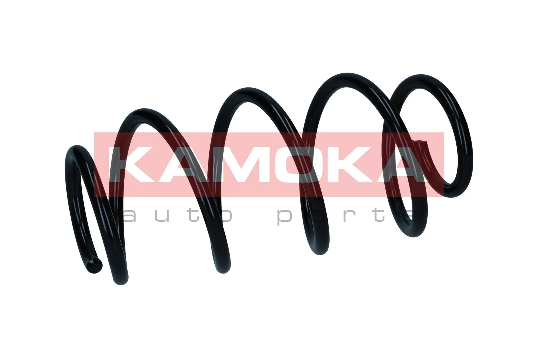 Suspension Spring 2110822