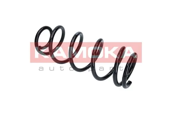 Suspension Spring 2120163