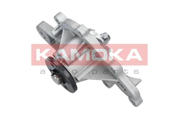 Water Pump, engine cooling T0259
