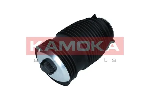 Air Spring, suspension 2079049