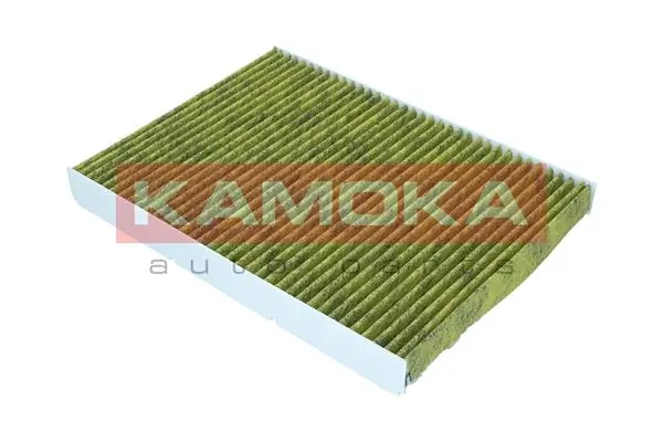 Filter, cabin air 6080002