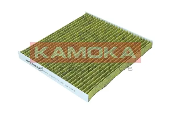 Filter, cabin air 6080156