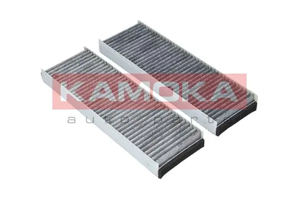 Filter, cabin air F505501