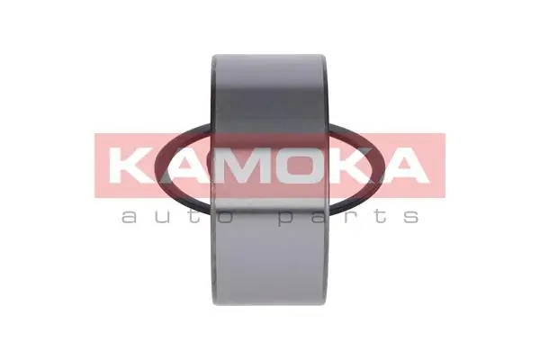 Wheel Bearing Kit 5600052
